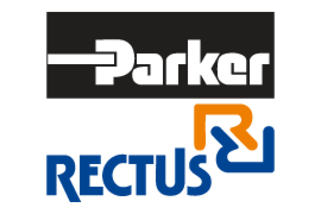 Rectus