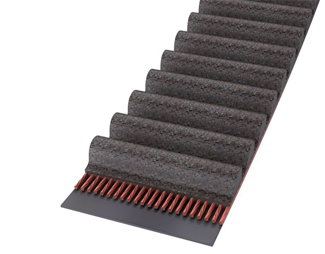 Ronde(halfronde) tandvorm